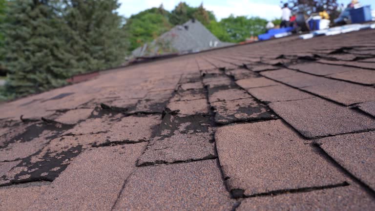 Best Tile Roofing Installation  in Aquia Harbour, VA