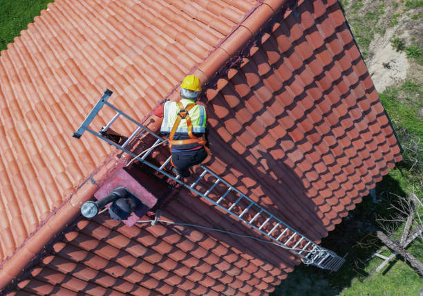 Best Roof Maintenance and Cleaning  in Aquia Harbour, VA